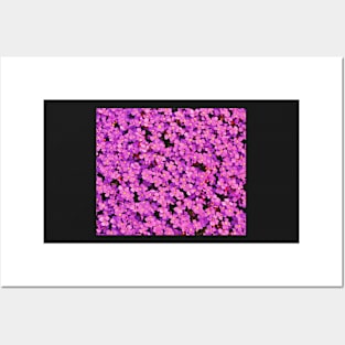 Pink Flower Pattern Posters and Art